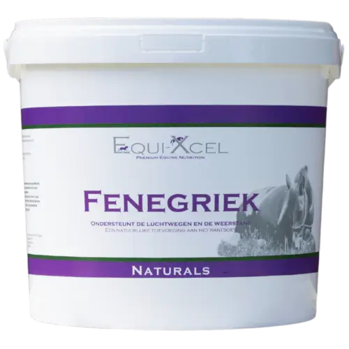 Fenegriek