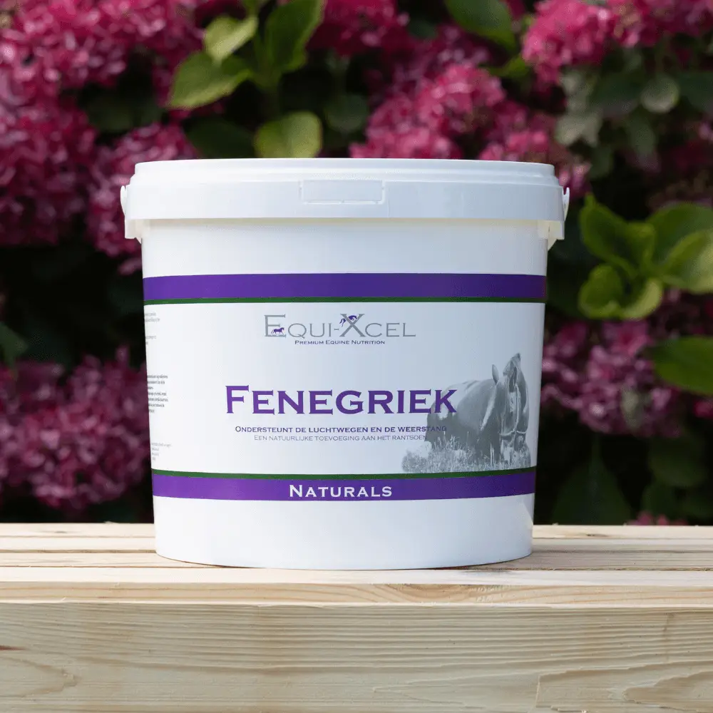 Fenegriek - Afbeelding 2