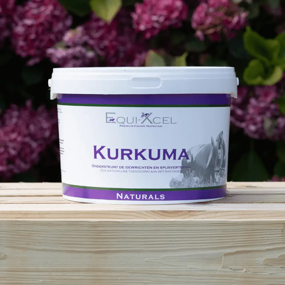 Kurkuma - Afbeelding 2