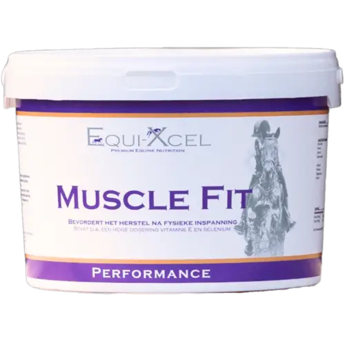 Muscle Fit