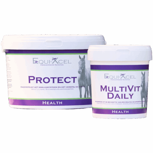 Immunity Boost