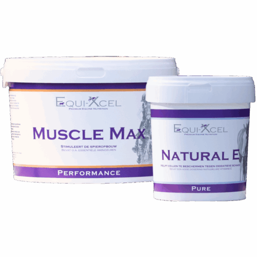 Muscle Power
