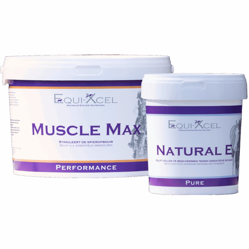 Muscle Power
