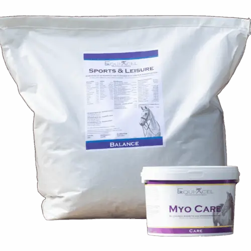 Muscle Relief
